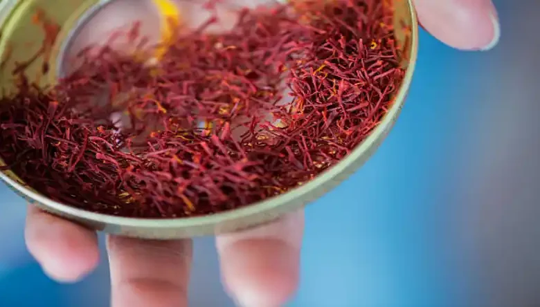 عمده فروشی زعفران در مشهد