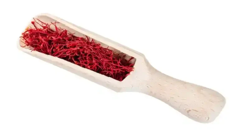 مجوز صادرات زعفران