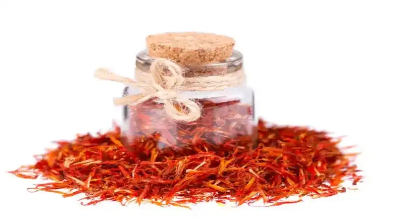 پیاز زعفران نازبو