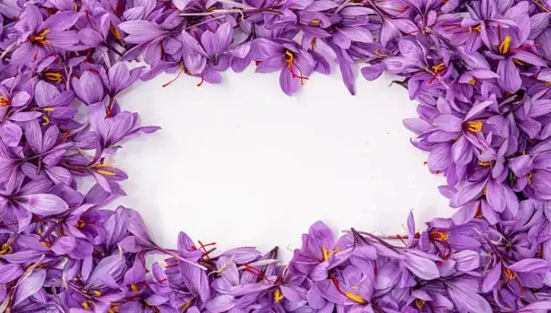 چه کودی برای محلول پاشی زعفران مناسب است