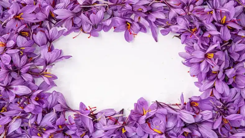 چه کودی برای محلول پاشی زعفران مناسب است