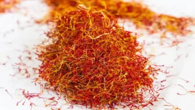 آبیاری قطره ای زعفران