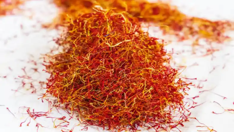 آبیاری قطره ای زعفران