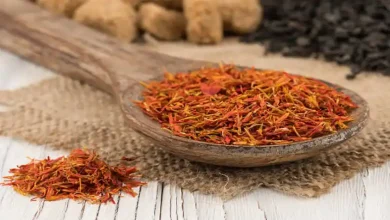 آموزش پرورش زعفران در گلخانه