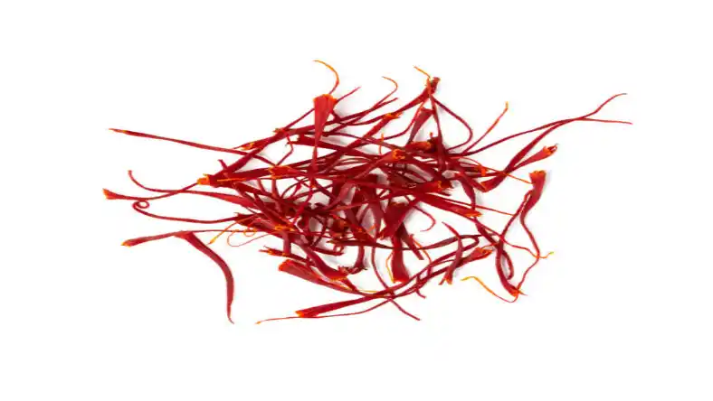 اجاره دستگاه کاشت زعفران