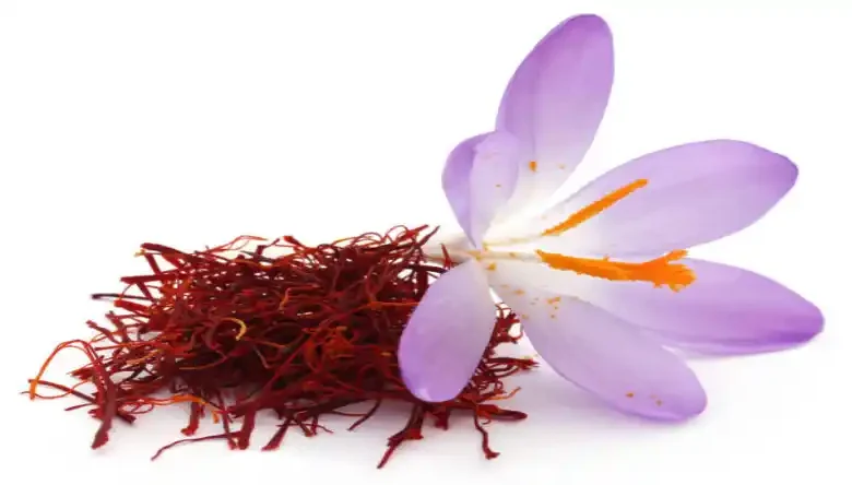 بهترین کود برای زعفران قبل از گلدهی