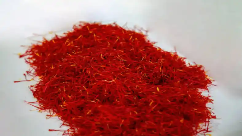 تیغه تیلر مخصوص زعفران