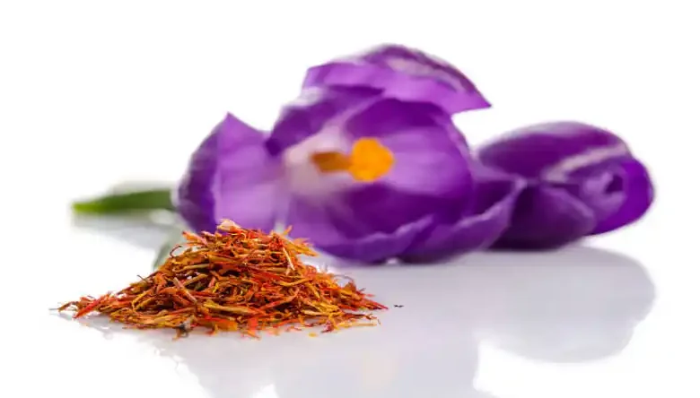 دوره آموزش کاشت زعفران در منزل