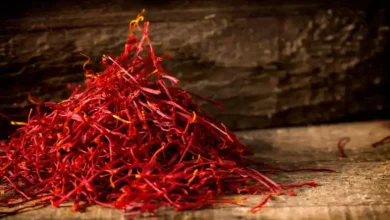 دوره آموزش کشت زعفران گلخانه ای