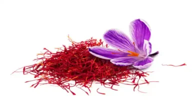زعفران پهن برگ است یا باریک
