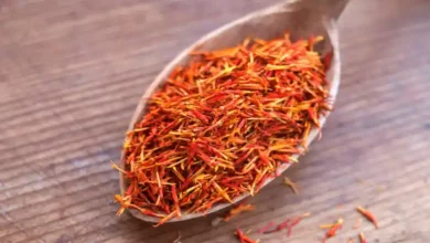 شرکت صادرات زعفران