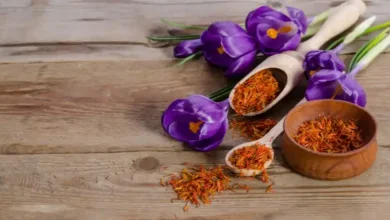 صادرات زعفران در آلمان