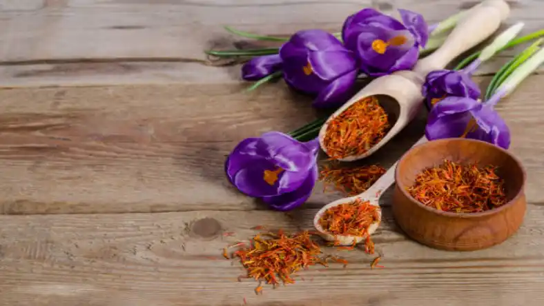 صادرات زعفران در آلمان