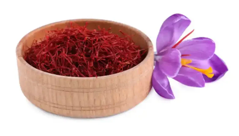 ضد عفونی پیاز زعفران قبل از کاشت