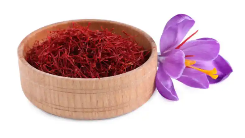 ضد عفونی پیاز زعفران قبل از کاشت