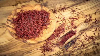 طریقه کشت ایروپونیک زعفران