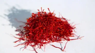 فروش عمده زعفران صادراتی