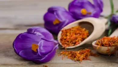 قیمت پیاز زعفران در قم