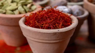 قیمت پیاز زعفران در نیشابور