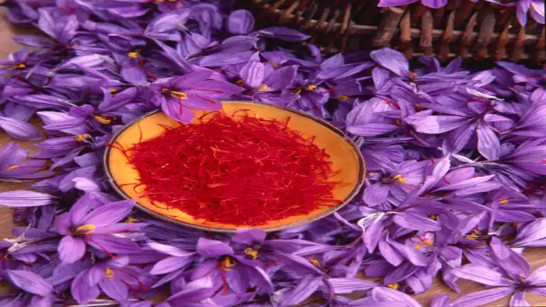 نام دیگر زعفران چیست