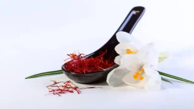 نور گلخانه زعفران