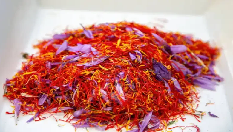 پیشگیری از پوسیدگی بوته زعفران