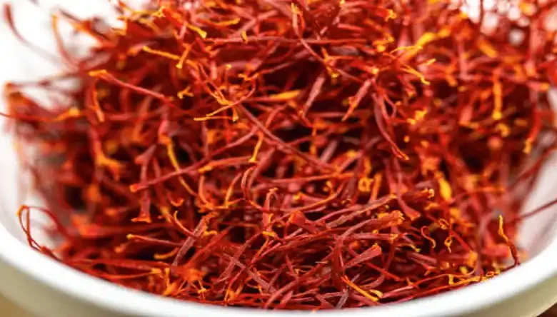 کاشت زعفران تک خیش