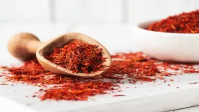 کاشت زعفران در زمین شور