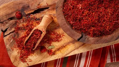 کشت کپه ای زعفران