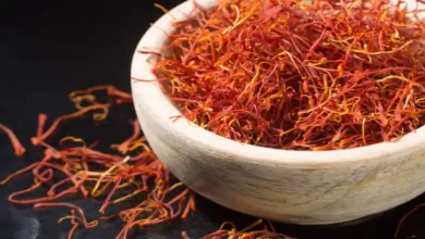 گلخانه زعفران در تهران