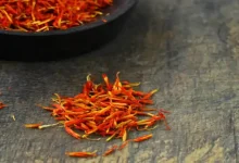 خرید بذر زعفران در مشهد