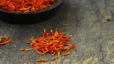 خرید بذر زعفران در مشهد