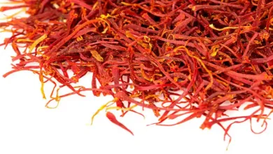 خرید پیاز زعفران ماهچین