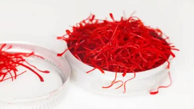 زمان چیدن علف زعفران