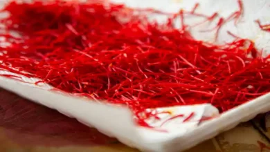 سود خالص کشت زعفران