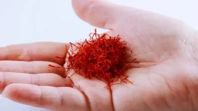 شرایط مناسب کشت زعفران