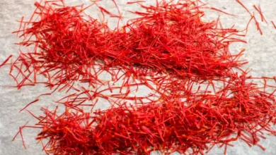 مشارکت در صادرات زعفران
