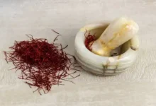 کاشت زعفران در بطری نوشابه