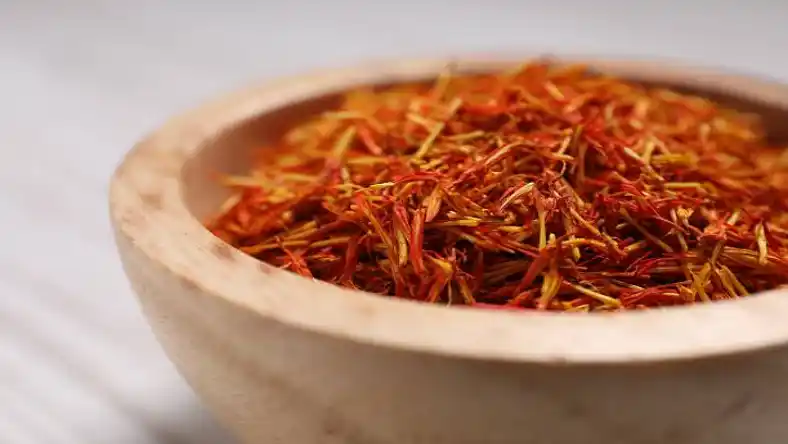 کاشت زعفران در ساری