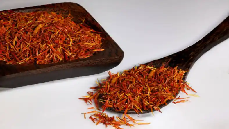 کاشت زعفران در صومعه سرا