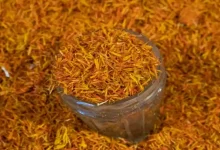 کاشت زعفران در پارکینگ منزل