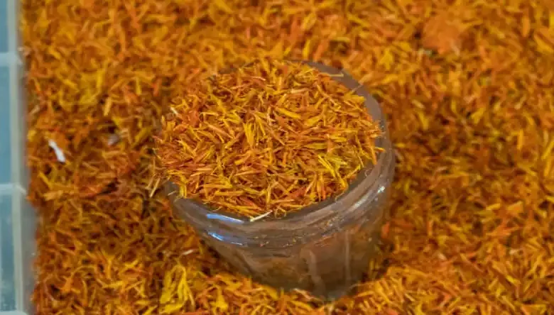 کاشت زعفران در پارکینگ منزل