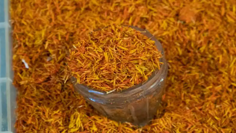 کاشت زعفران در پارکینگ منزل