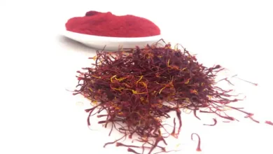 کشت آرمانی زعفران