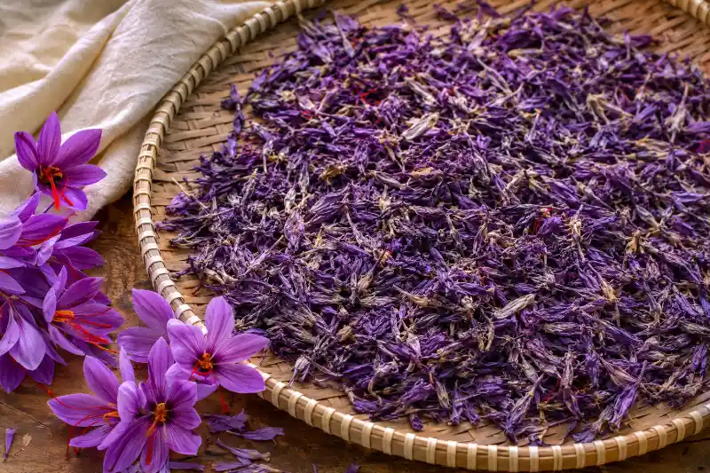 گل زعفران خشک شده